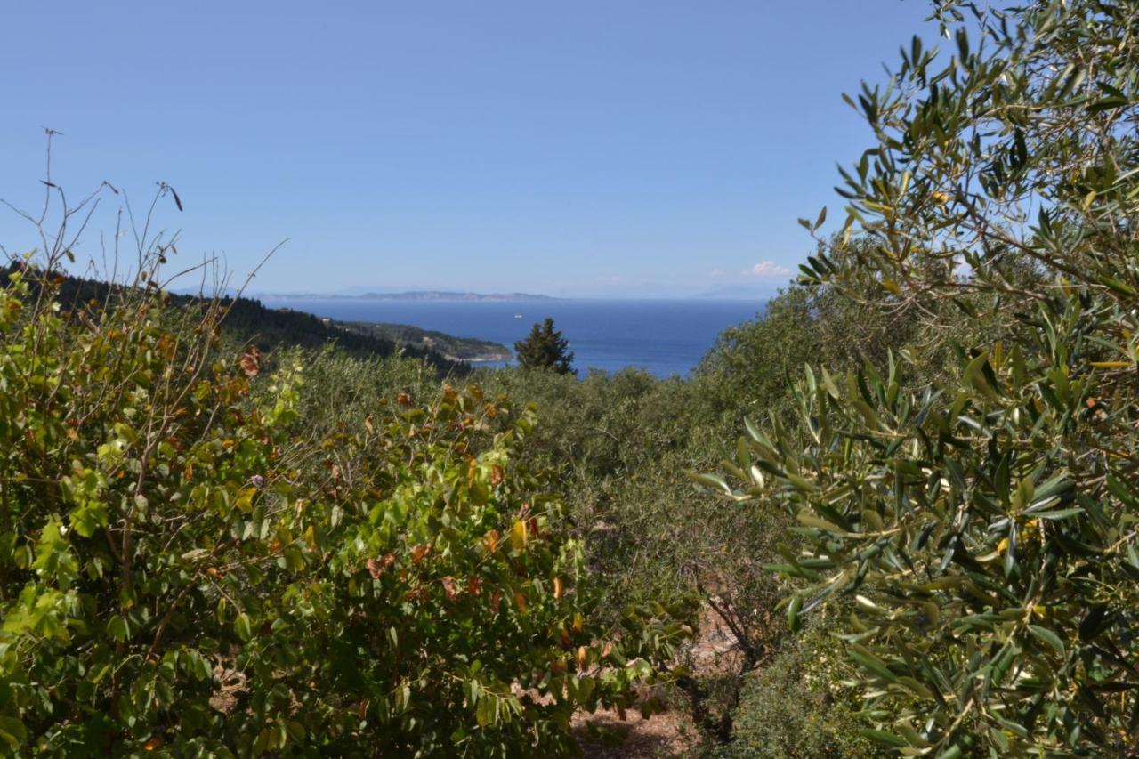 Villa Elaia Suites & Apartments No.6 Gaios Eksteriør bilde